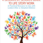 A Session by Session Guide to Life Story Work