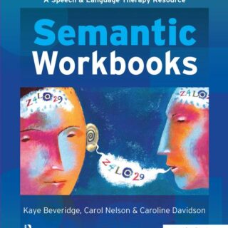 Semantic Workbooks