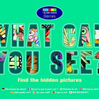 Colorcards - What Can You See?