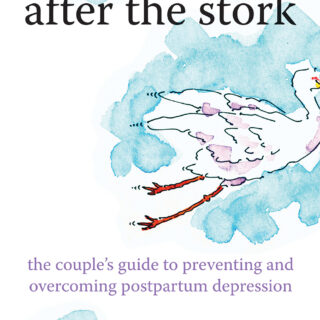 After the Stork (eBook)