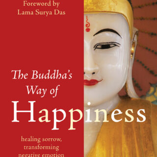 The Buddha's Way of Happiness (eBook)