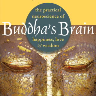 Buddha's Brain (eBook)