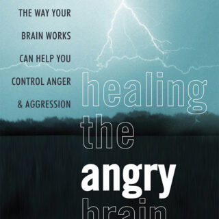 Healing the Angry Brain (eBook)