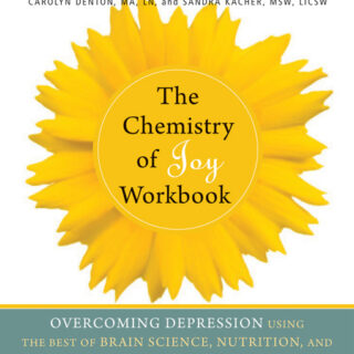 The Chemistry of Joy Workbook (eBook)