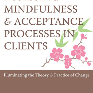 Assessing Mindfulness and Acceptance Processes in Clients (eBook)