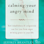 Calming Your Angry Mind (eBook)