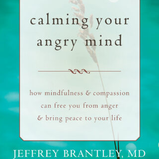 Calming Your Angry Mind (eBook)