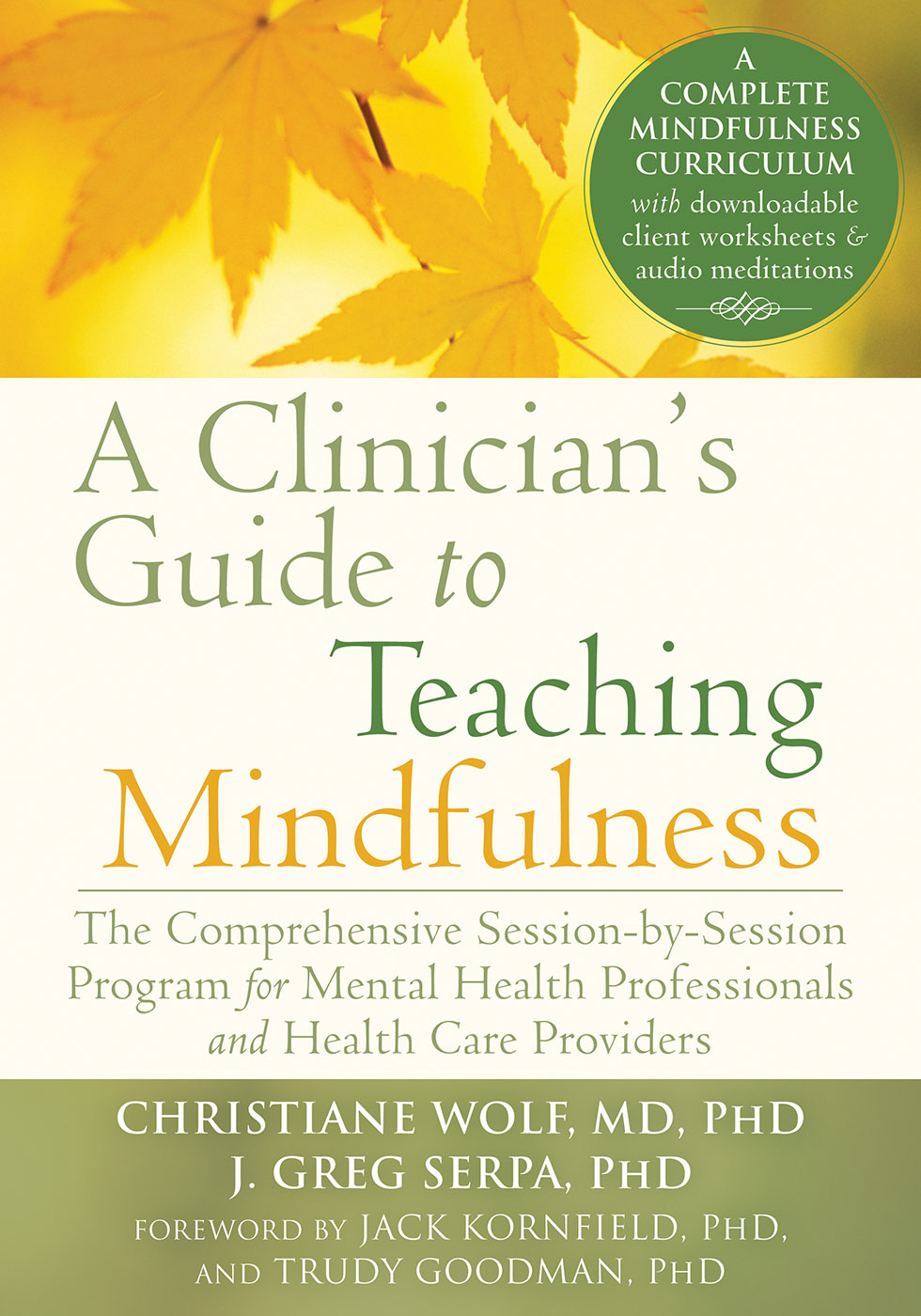 A Clinician's Guide to Teaching Mindfulness (eBook)