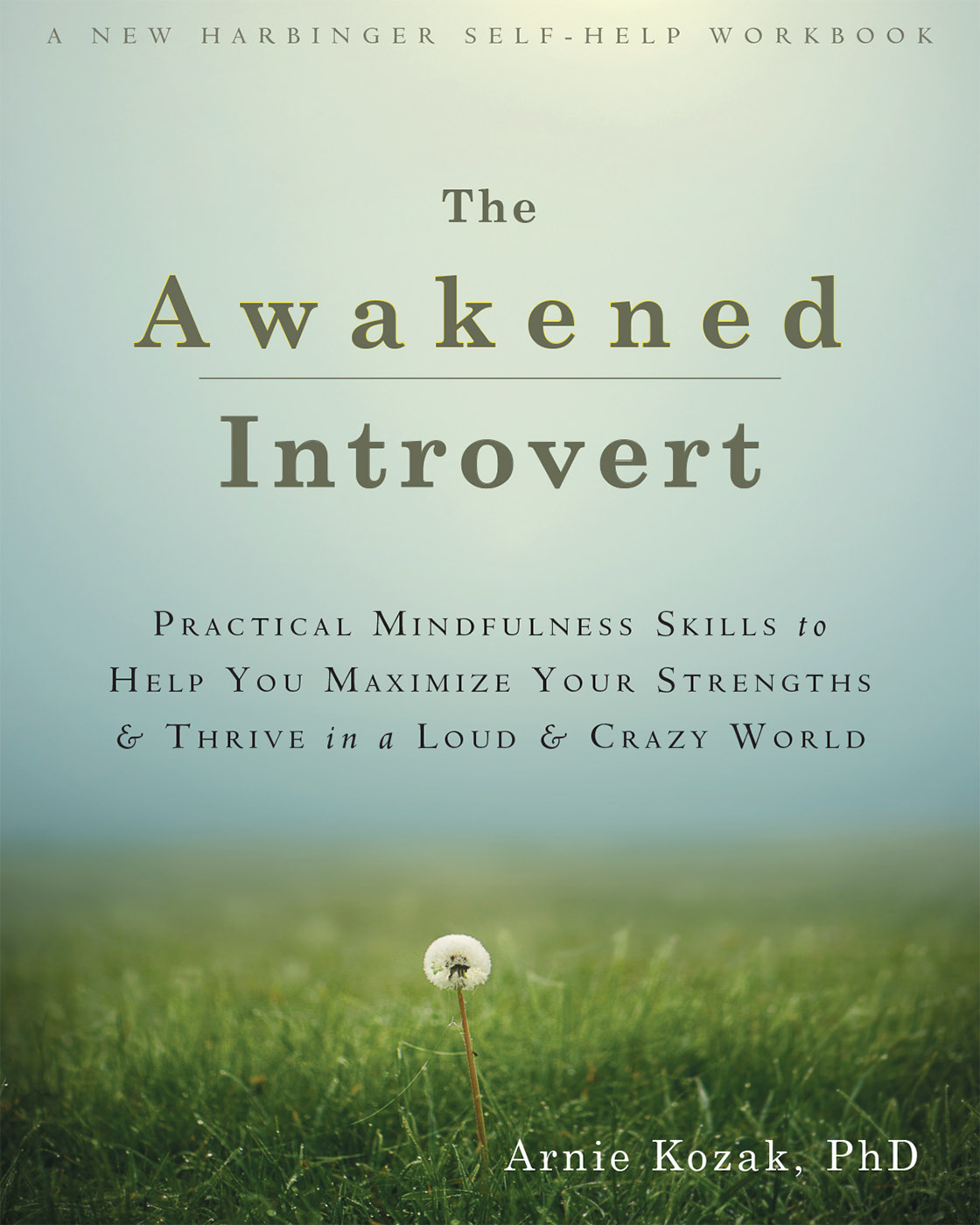 The Awakened Introvert (eBook)