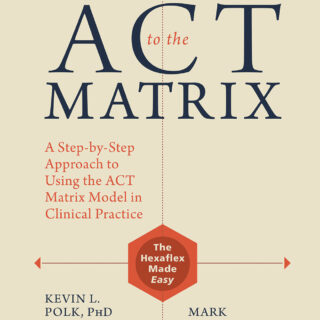 The Essential Guide to the ACT Matrix (eBook)