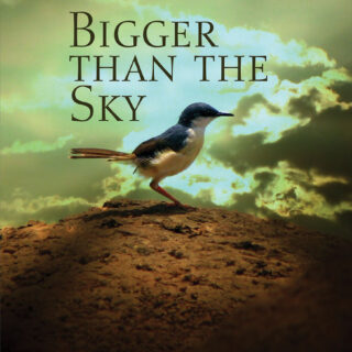 Bigger Than the Sky (eBook)