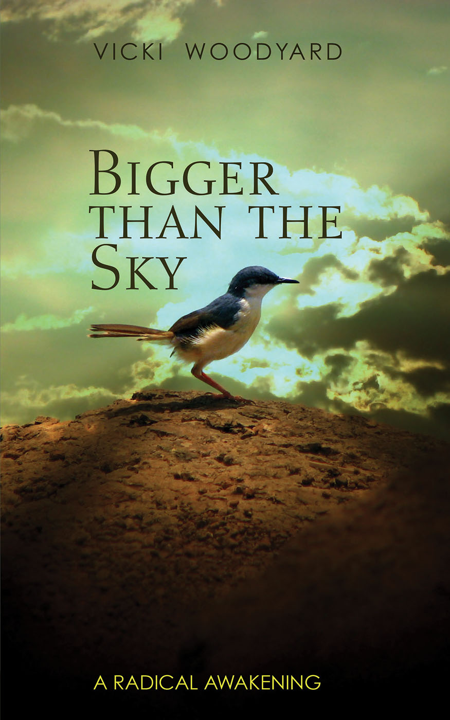 Bigger Than the Sky (eBook)