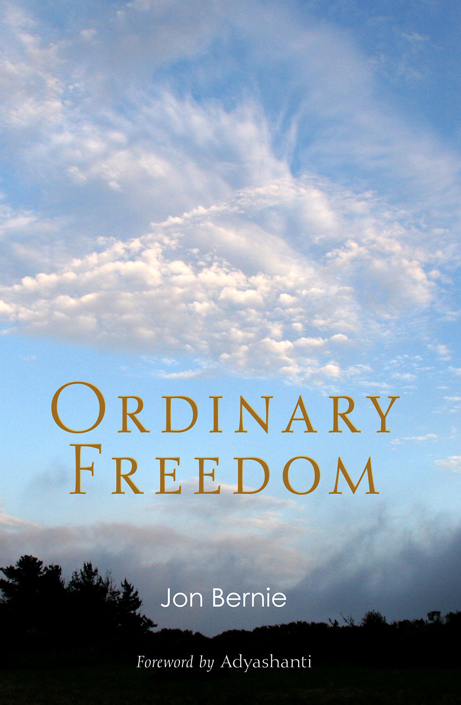 Ordinary Freedom (eBook)
