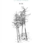 Words Out of Silence (eBook)