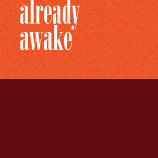 Already Awake (eBook)