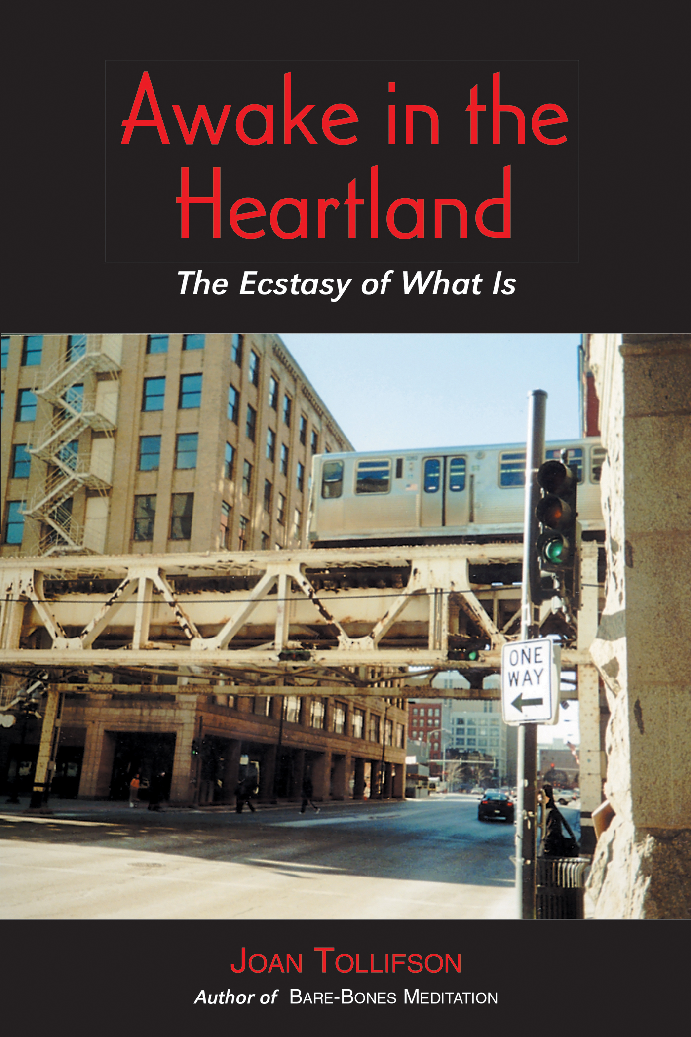 Awake in the Heartland (eBook)