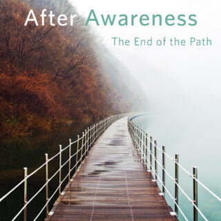 After Awareness (eBook)