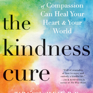 The Kindness Cure (eBook)