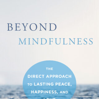 Beyond Mindfulness (eBook)