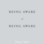 Being Aware of Being Aware (eBook)