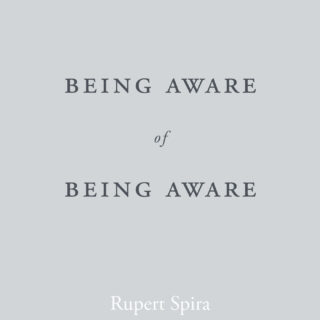 Being Aware of Being Aware (eBook)