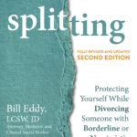 Splitting (eBook)